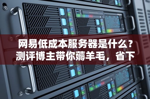 网易低成本服务器是什么？测评博主带你薅羊毛，省下钱买奶茶！