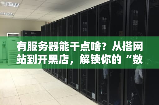 有服务器能干点啥？从搭网站到开黑店，解锁你的“数字印钞机”！