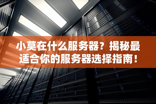 小莫在什么服务器？揭秘最适合你的服务器选择指南！