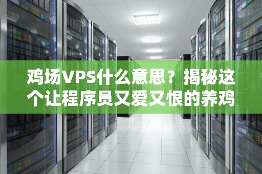 鸡场VPS什么意思？揭秘这个让程序员又爱又恨的养鸡场！