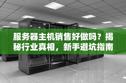 服务器主机销售好做吗？揭秘行业真相，新手避坑指南！