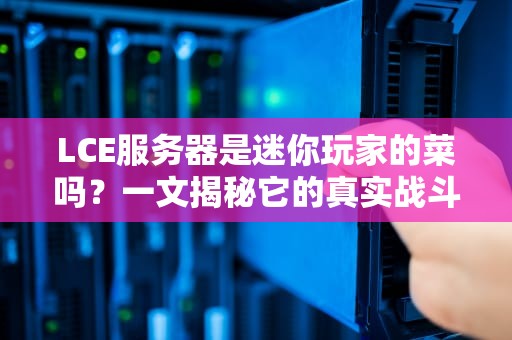 LCE服务器是迷你玩家的菜吗？一文揭秘它的真实战斗力！