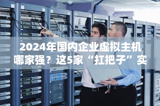 2024年国内企业虚拟主机哪家强？这5家“扛把子”实测对比！