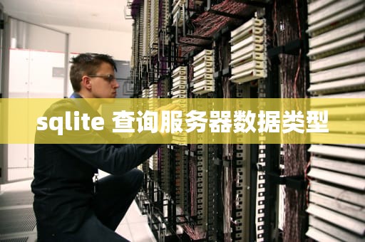 sqlite 查询服务器数据类型