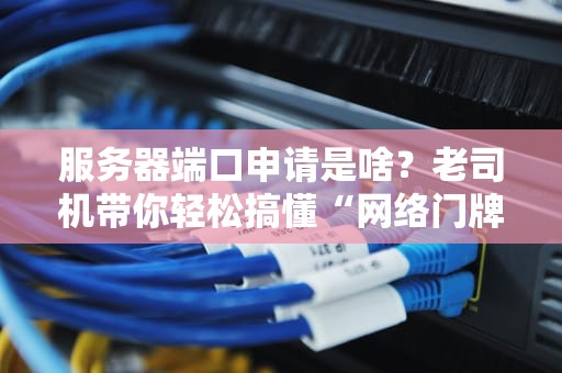 服务器端口申请是啥？老司机带你轻松搞懂“网络门牌号”那些事儿！