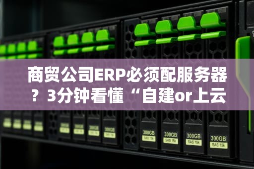 商贸公司ERP必须配服务器？3分钟看懂“自建or上云”终极选择！