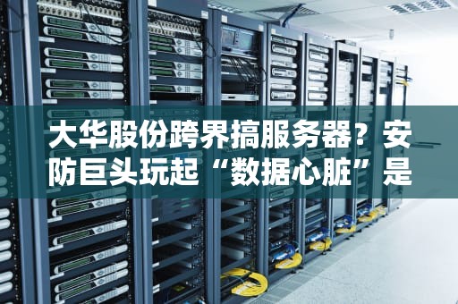 大华股份跨界搞服务器？安防巨头玩起“数据心脏”是真是假？