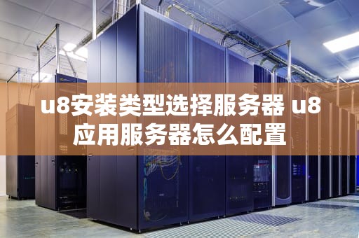 u8安装类型选择服务器 u8应用服务器怎么配置