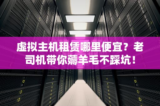 虚拟主机租赁哪里便宜？老司机带你薅羊毛不踩坑！