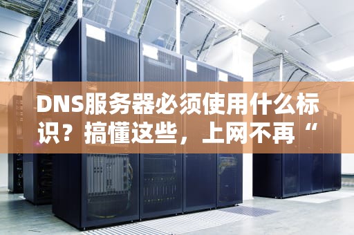 DNS服务器必须使用什么标识？搞懂这些，上网不再“迷路”！