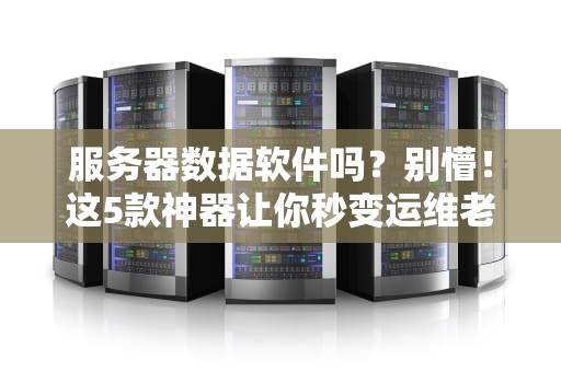 服务器数据软件吗？别懵！这5款神器让你秒变运维老司机