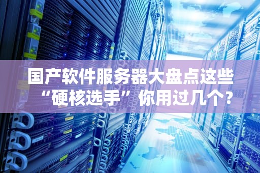 国产软件服务器大盘点这些“硬核选手”你用过几个？
