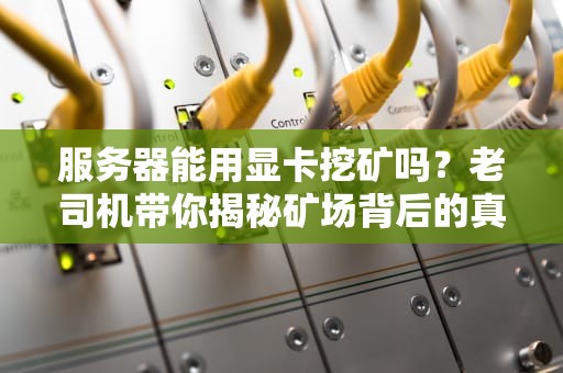服务器能用显卡挖矿吗？老司机带你揭秘矿场背后的真相！