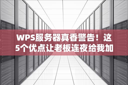WPS服务器真香警告！这5个优点让老板连夜给我加鸡腿