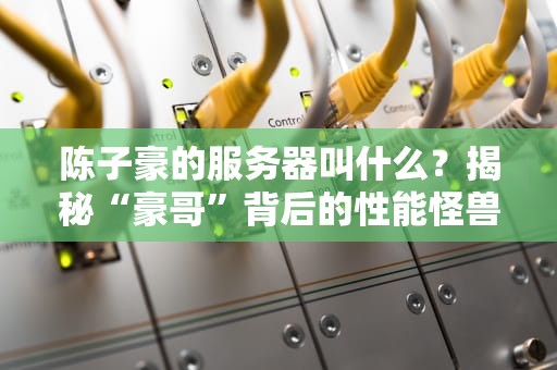 陈子豪的服务器叫什么？揭秘“豪哥”背后的性能怪兽与运维骚操作！