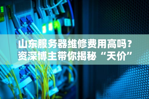 山东服务器维修费用高吗？资深博主带你揭秘“天价”背后的真相！