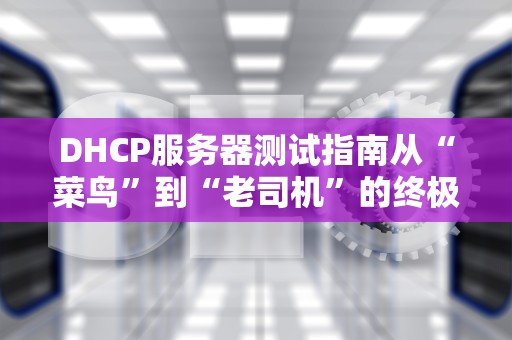 DHCP服务器测试指南从“菜鸟”到“老司机”的终极奥义！