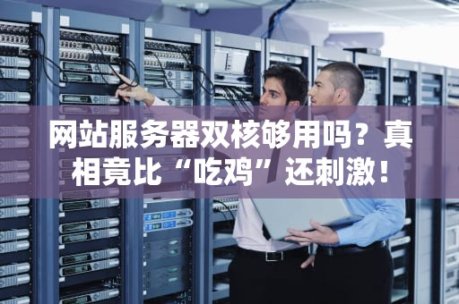 网站服务器双核够用吗？真相竟比“吃鸡”还刺激！