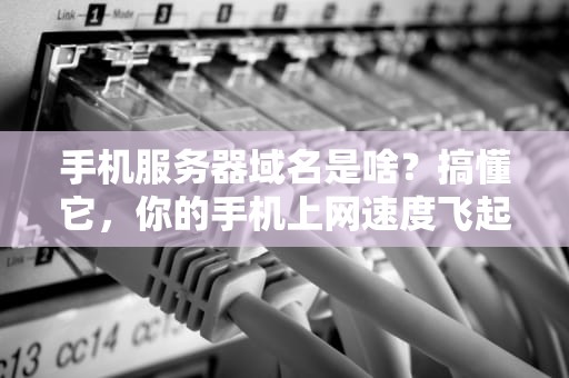 手机服务器域名是啥？搞懂它，你的手机上网速度飞起！
