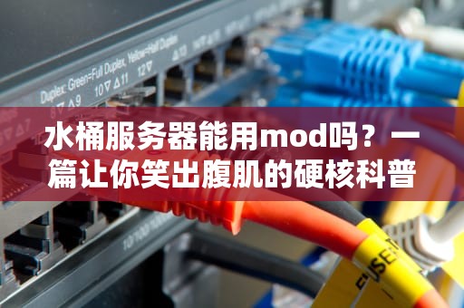 水桶服务器能用mod吗？一篇让你笑出腹肌的硬核科普！