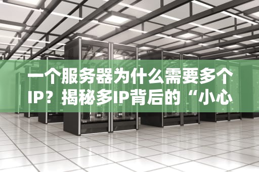 一个服务器为什么需要多个IP？揭秘多IP背后的“小心机”