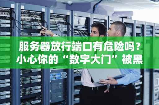 服务器放行端口有危险吗？小心你的“数字大门”被黑客当后门！