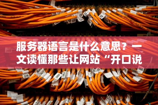 服务器语言是什么意思？一文读懂那些让网站“开口说话”的神秘代码！