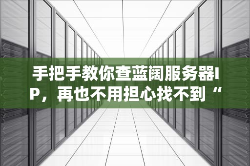 手把手教你查蓝阔服务器IP，再也不用担心找不到“门牌号”！