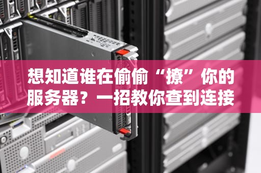 想知道谁在偷偷“撩”你的服务器？一招教你查到连接IP！