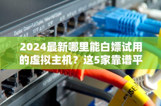 2024最新哪里能白嫖试用的虚拟主机？这5家靠谱平台亲测不踩雷！