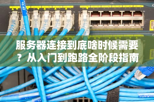 服务器连接到底啥时候需要？从入门到跑路全阶段指南！