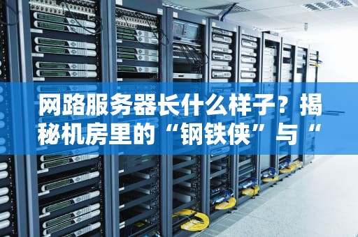 网路服务器长什么样子？揭秘机房里的“钢铁侠”与“数据食堂”