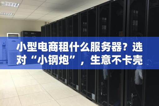 小型电商租什么服务器？选对“小钢炮”，生意不卡壳！