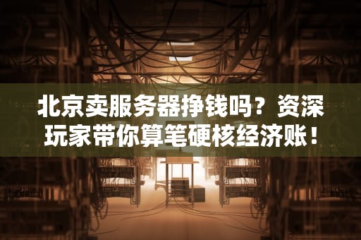 北京卖服务器挣钱吗？资深玩家带你算笔硬核经济账！