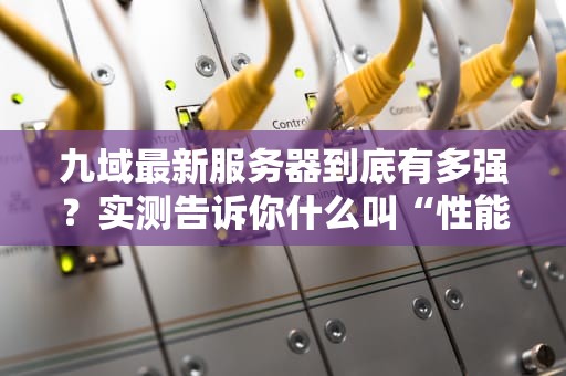 九域最新服务器到底有多强？实测告诉你什么叫“性能怪兽”！