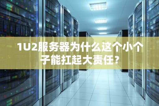 1U2服务器为什么这个小个子能扛起大责任？
