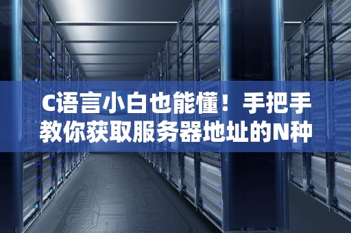 C语言小白也能懂！手把手教你获取服务器地址的N种姿势