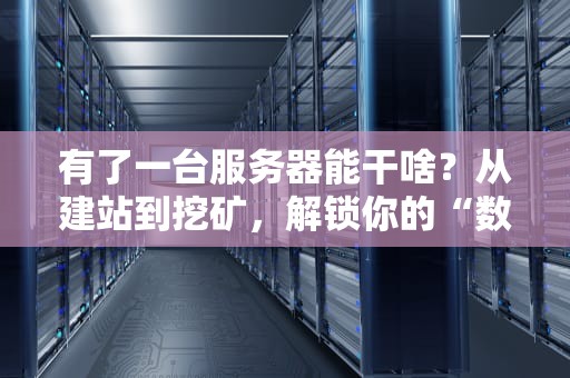 有了一台服务器能干啥？从建站到挖矿，解锁你的“数字印钞机”玩法！