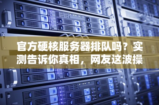 官方硬核服务器排队吗？实测告诉你真相，网友这波操作太骚了！