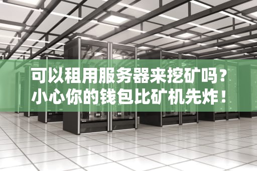 可以租用服务器来挖矿吗？小心你的钱包比矿机先炸！