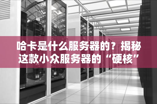 哈卡是什么服务器的？揭秘这款小众服务器的“硬核”实力！