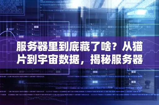 服务器里到底藏了啥？从猫片到宇宙数据，揭秘服务器的百宝箱！
