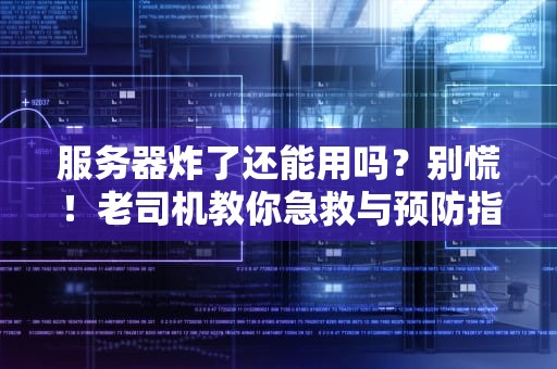 服务器炸了还能用吗？别慌！老司机教你急救与预防指南