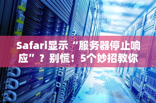 Safari显示“服务器停止响应”？别慌！5个妙招教你轻松搞定！