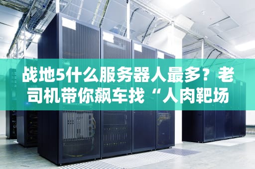战地5什么服务器人最多？老司机带你飙车找“人肉靶场”！
