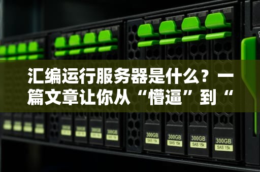 汇编运行服务器是什么？一篇文章让你从“懵逼”到“真香”！