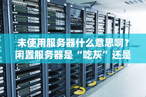 未使用服务器什么意思啊？闲置服务器是“吃灰”还是“藏金”？