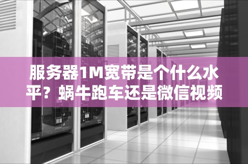 服务器1M宽带是个什么水平？蜗牛跑车还是微信视频？专业测评+爆笑解读！