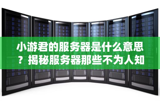 小游君的服务器是什么意思？揭秘服务器那些不为人知的“秘密”！