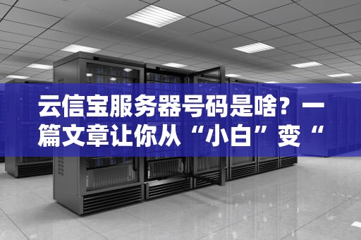 云信宝服务器号码是啥？一篇文章让你从“小白”变“大神”！